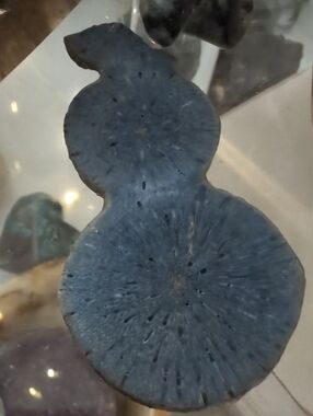 Blue Coral "Snowman"